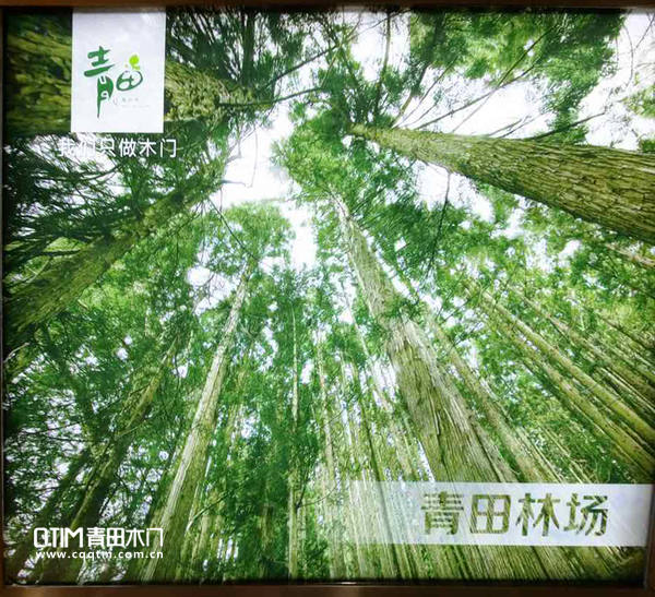 重庆青田木门：我们只做木门