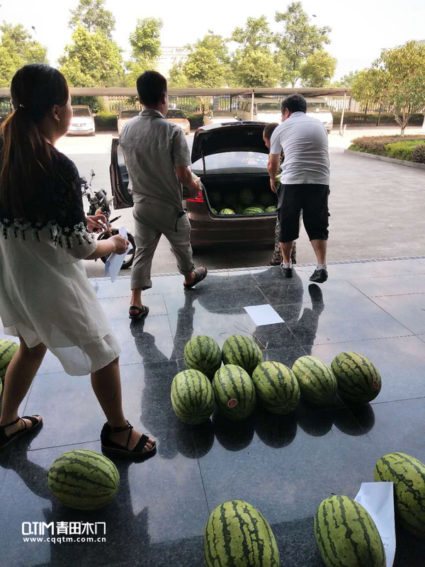 重庆青田木门：为员工送西瓜